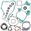 Complete Gasket Kit with Oil Seals WINDEROSA CGKOS 811206