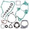 Complete Gasket Kit with Oil Seals WINDEROSA CGKOS 811211
