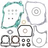 Complete Gasket Kit with Oil Seals WINDEROSA CGKOS 811220