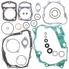 Complete Gasket Kit with Oil Seals WINDEROSA CGKOS 811229