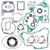 Complete Gasket Kit with Oil Seals WINDEROSA CGKOS 811235