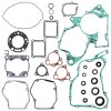 Complete Gasket Kit with Oil Seals WINDEROSA CGKOS 811237