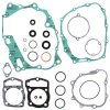 Complete Gasket Kit with Oil Seals WINDEROSA CGKOS 811238