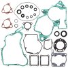 Complete Gasket Kit with Oil Seals WINDEROSA CGKOS 811247