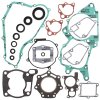 Complete Gasket Kit with Oil Seals WINDEROSA CGKOS 811252