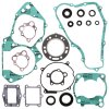 Complete Gasket Kit with Oil Seals WINDEROSA CGKOS 811253