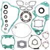 Complete Gasket Kit with Oil Seals WINDEROSA CGKOS 811255