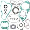 Complete Gasket Kit with Oil Seals WINDEROSA CGKOS 811257