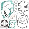 Complete Gasket Kit with Oil Seals WINDEROSA CGKOS 811258