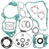 Complete Gasket Kit with Oil Seals WINDEROSA CGKOS 811260