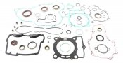 Complete gasket kit with oil seals WINDEROSA CGKOS 811367