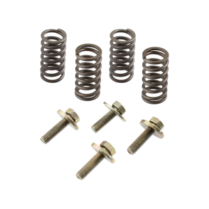 Clutch springs and screws kit RMS